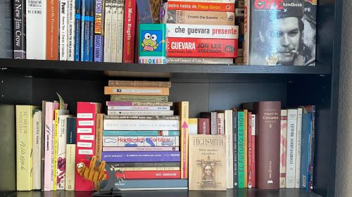 Literary Shelf